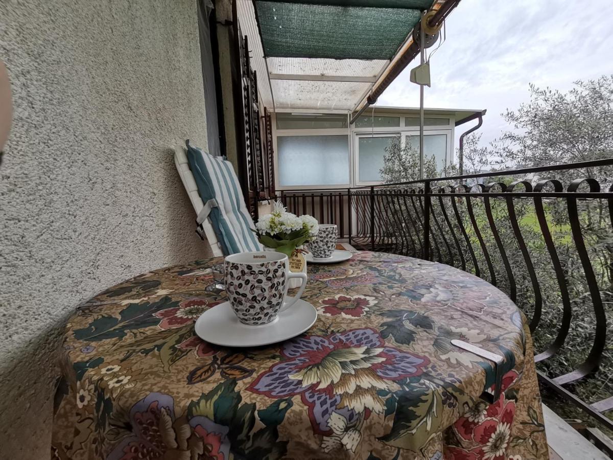 Zvonka Apartment *