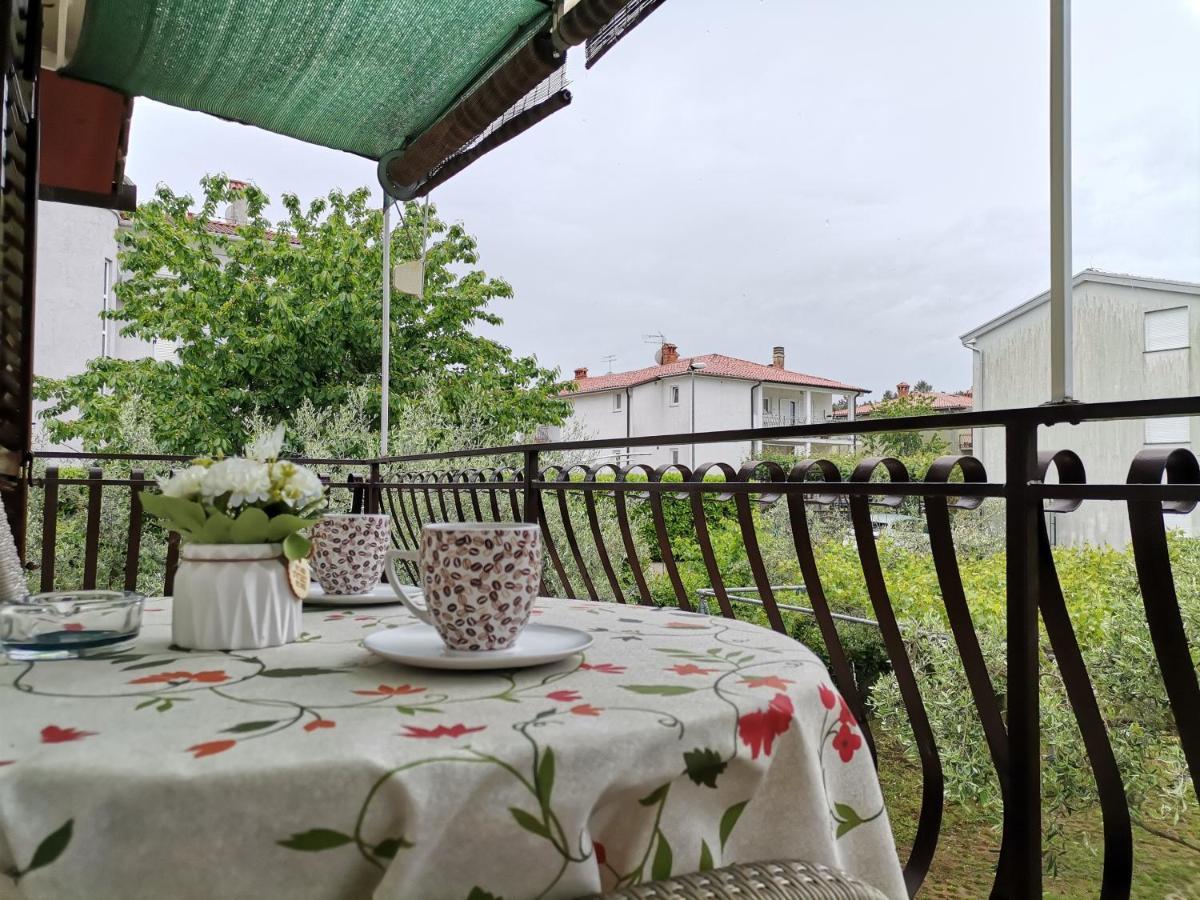 Zvonka Apartment